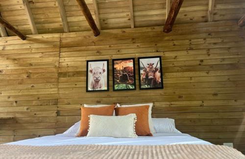 San Carlos Bed & Breakfast | RíoBosque Cabañas de lujo frente al rio desayuno incluido san carlos antioquia