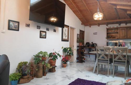 Jardin House | finca nalu
