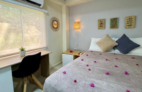Providencia Bed & Breakfast | Colorful Garden House