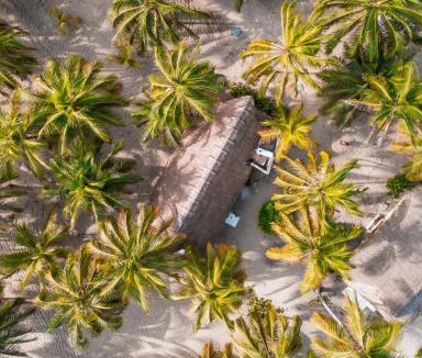 Palomino Hotel | Aite Eco Resort