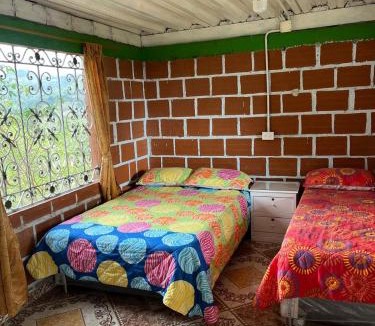 Aranzazu House | Coffee Tour, Colombia Aranzazu Caldas- Andean Motmot coffee