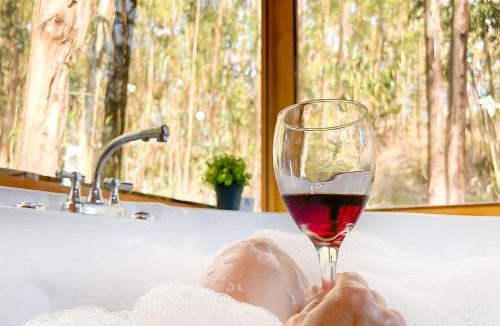 Pesca Cabin | Domosup3rlopez - Glamping Petfriendly con Jacuzzi en Boyacá