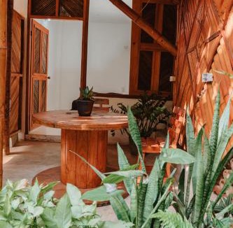 Palomino House | Hostal Casa Celeste