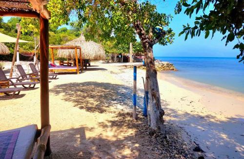 Isla Tintipan Other | Tintipán Glamping