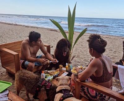 Palomino Hotel | Bob Marley Beach