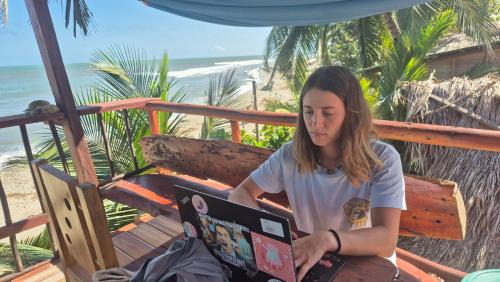 Palomino Hotel | Bob Marley Beach