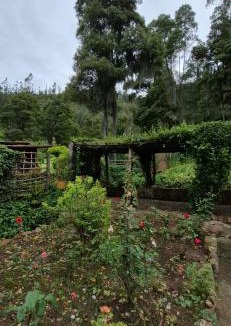 La Chapa House | Finca La Mara