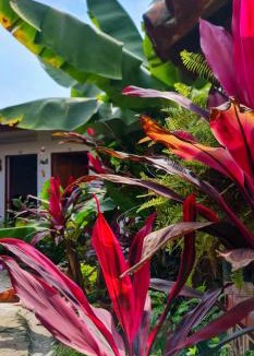 Villeta House | El Gran Boga