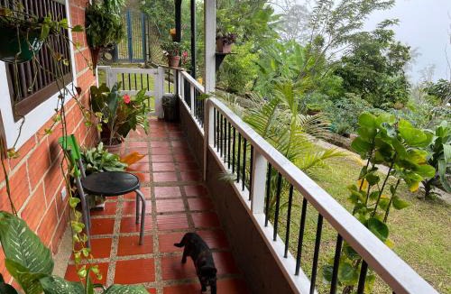 Fredonia House | Finca La Tabaiba