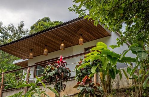 Papare Hotel | 7Piedras