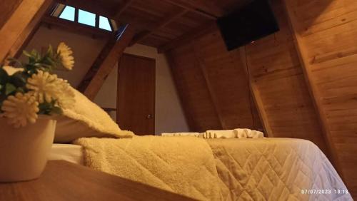 San Agustin Ski Chalet | Cabañas Alpina