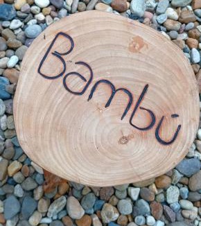 San Francisco Hotel | Bambu Hostel