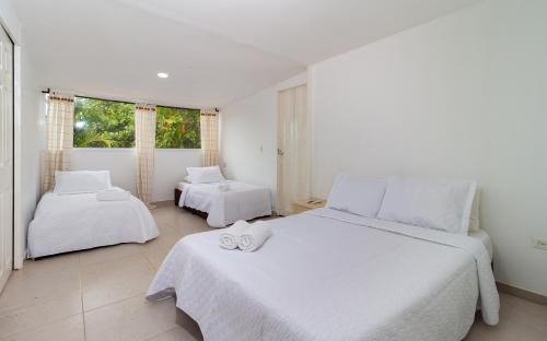 Arroyo de Piedra Hotel | Hotel Arena Beach Cartagena