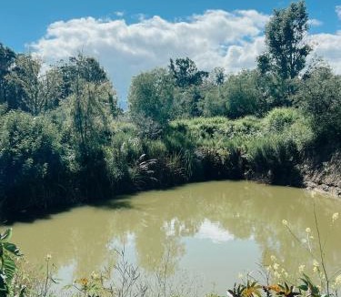 Villa de Leyva Other | Camping Ali bosque