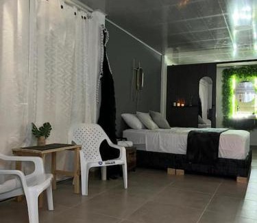 Acacias Apartment | Refugio verde interior 2