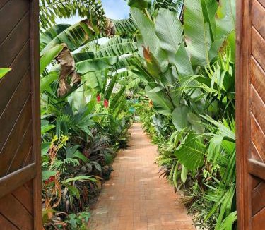 Palomino Villa | Private Vila & Pool - Tropical Gardens - Starlink Internet