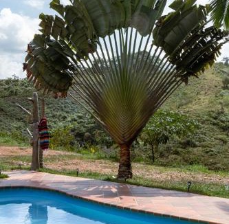 Yolombo Hotel | Hotel Cacaobetulia
