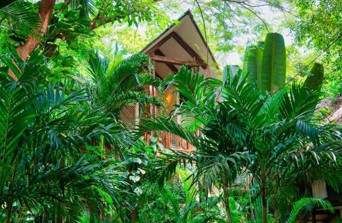 Guachaca Hostel | Masaya Tayrona & Beach Club