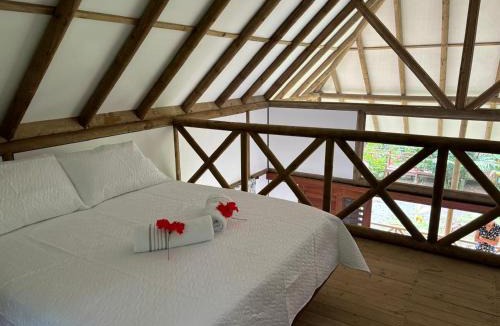Nuqui Hotel | Jenené Lodge Nuquí