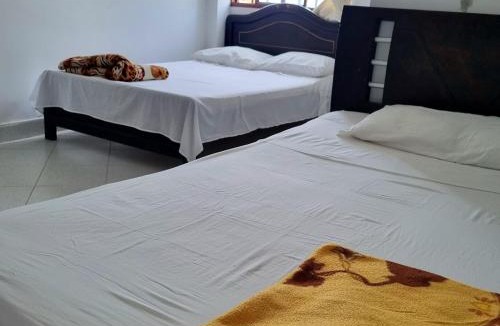 Pitalito Hotel | Hotel Iloa