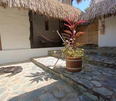 Palomino House | El Paraiso de Carmen