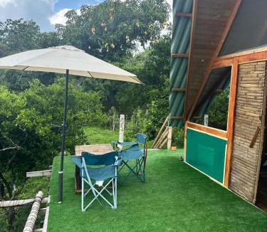 Cachipay Other | JUNGLAMP-Conexión con la naturaleza