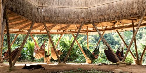 Palomino House | Blue Dot - jungle river adventure hostel closest to Ciudad Perdida