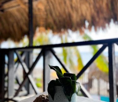 Rincon House | Palenque Beach House
