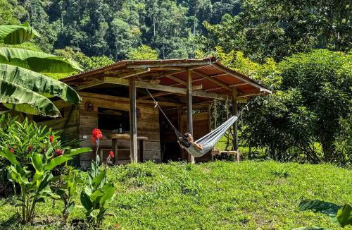 Palomino Cabin | Cinduli Finca Orgánica Cacaotera