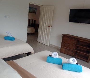 La Vega Hotel | Hotel Cafetero Valparaíso