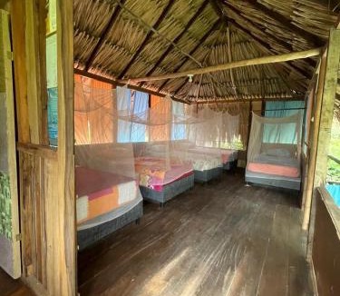 Palomino House | Ipqua Hostel