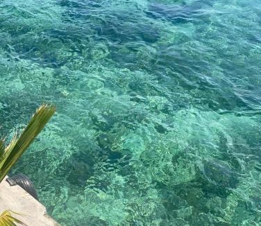 Rincon House | Medusa Hostel Isla Tintipan