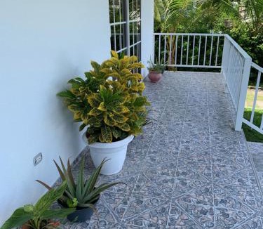 Providencia House | Apartamentos The Captain and His Queen