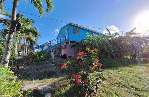 Providencia Hotel | Posada Bella Vista Bush Bottom