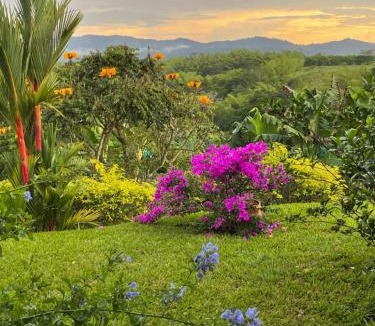 Quimbaya House | Hotel Boutique La Ceiba