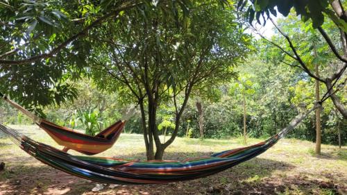 Monterrey Cabin | Ecolodge La Corocora