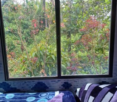 San Rafael Hostel | Hospedaje Pa'Gaïa