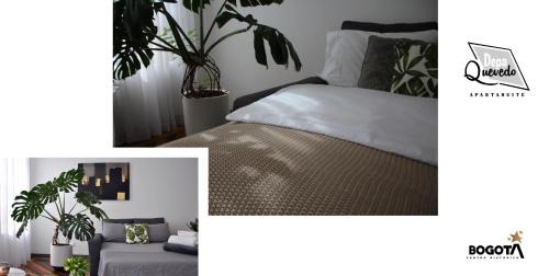 La Candelaria Apartment | Depa Quevedo Stylish Hideaway on Bogota's Historic Plaza Live Real Candelaria