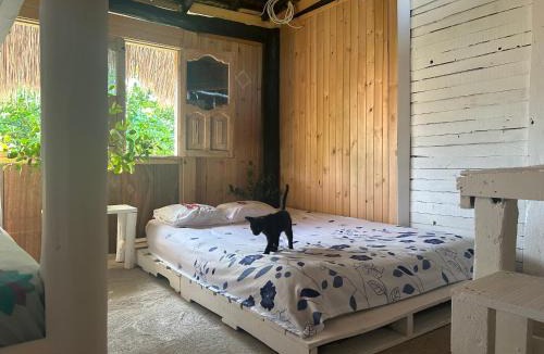 Tierra Bomba Island House | Nature Harmony Retreat in Tierra Bomba - Your Sustainable Escape 01