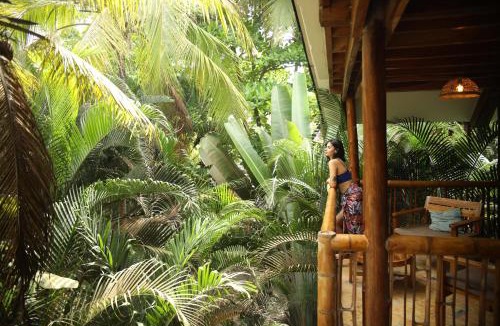 Guachaca Hostel | Masaya Tayrona & Beach Club