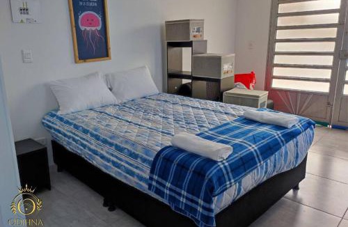Nobsa Apartment | Aparta Estudio Celeste un solo ambiente