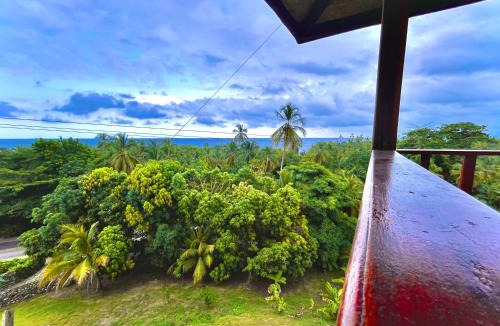 Mata de Platano House | Mirador Techo Verde