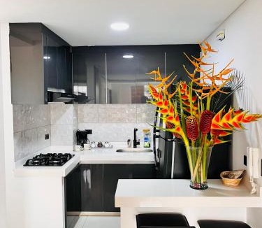 Cartago Apartment | Lujoso Apartamento para Vacaciones y Negocios