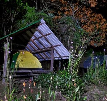 Uramba National Park Other | La Salamandra