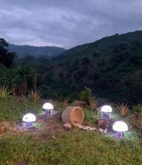 Manizales Hotel | AZAHARES HOTEL Y CAFÉ