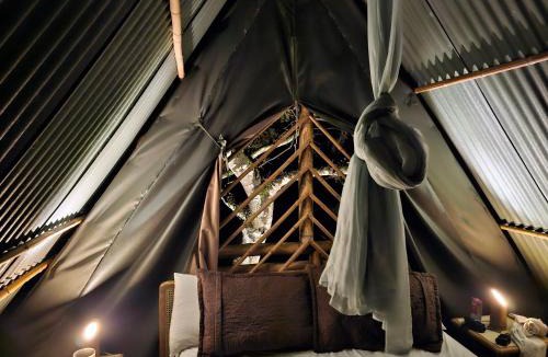 San Antonio del Tequendama House | Glamping El Árbol en la Casa