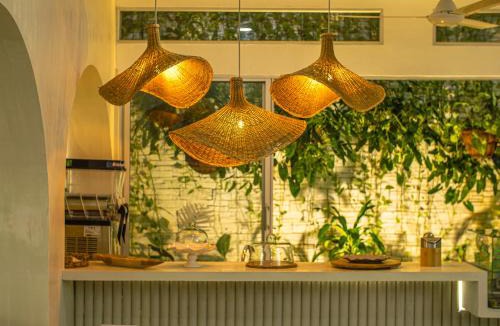 Monteria Hotel | Hotel Centro Monteria