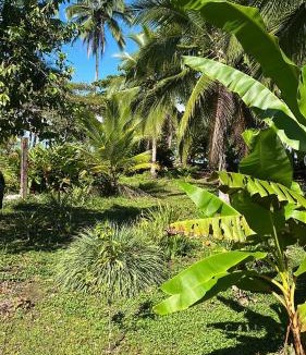 Nuqui Other | Popochos Beach Eco Lodge