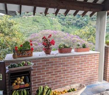 Jardin House | Patio Bonito
