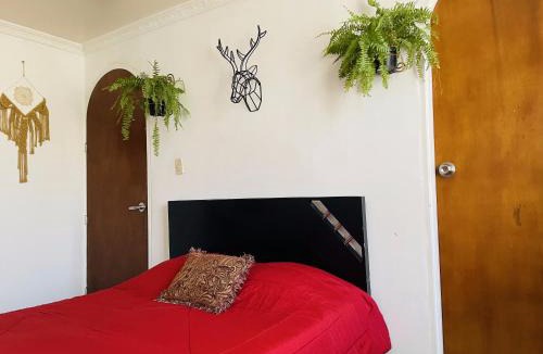 Sevilla House | Hotel Boutique Tesoro